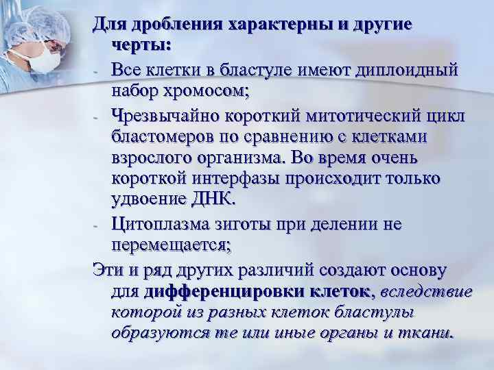 Для дробления характерны и другие черты: - Все клетки в бластуле имеют диплоидный набор