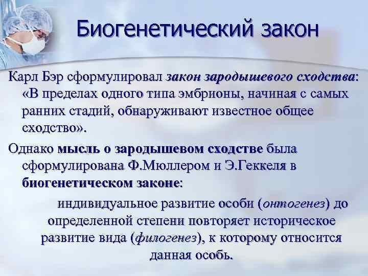 Биогенетический закон Карл Бэр сформулировал закон зародышевого сходства: «В пределах одного типа эмбрионы, начиная