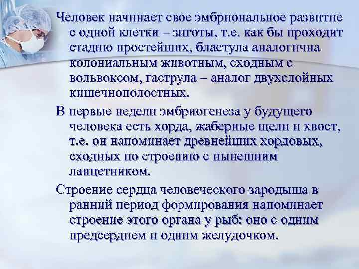 Человек начинает свое эмбриональное развитие с одной клетки – зиготы, т. е. как бы