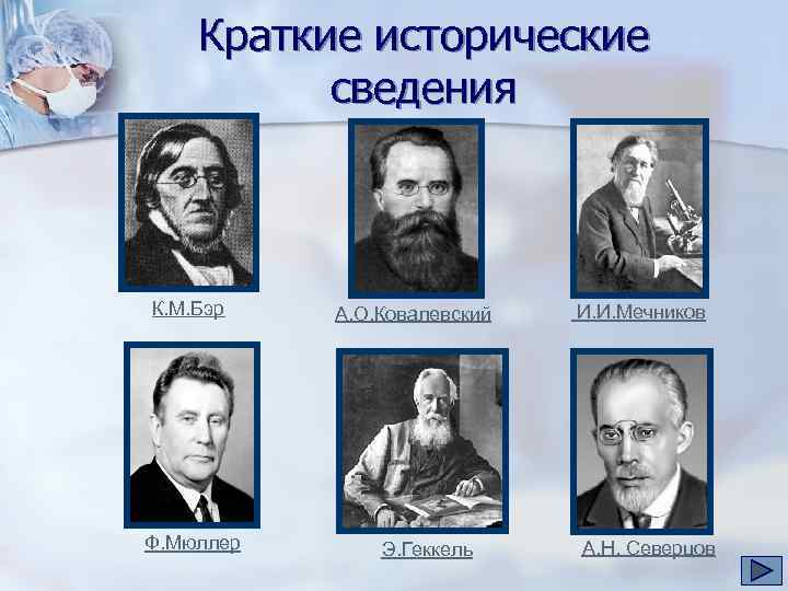Краткие исторические сведения К. М. Бэр Ф. Мюллер А. О. Ковалевский Э. Геккель И.