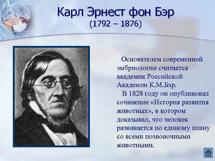 Карл Эрнест фон Бэр (1792 – 1876) Основателем современной эмбриологии считается академик Российской Академии