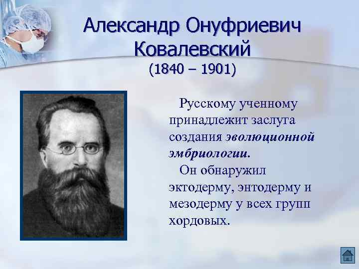 Александр Онуфриевич Ковалевский (1840 – 1901) Русскому ученному принадлежит заслуга создания эволюционной эмбриологии. Он