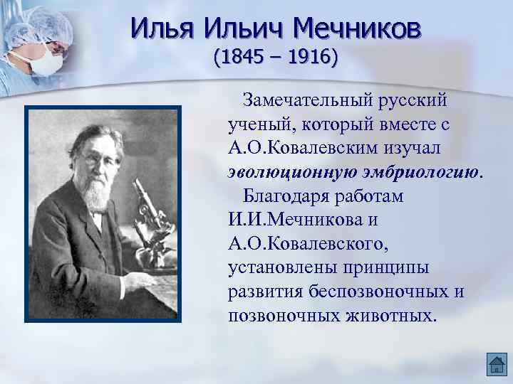 Илья Ильич Мечников (1845 – 1916) Замечательный русский ученый, который вместе с А. О.
