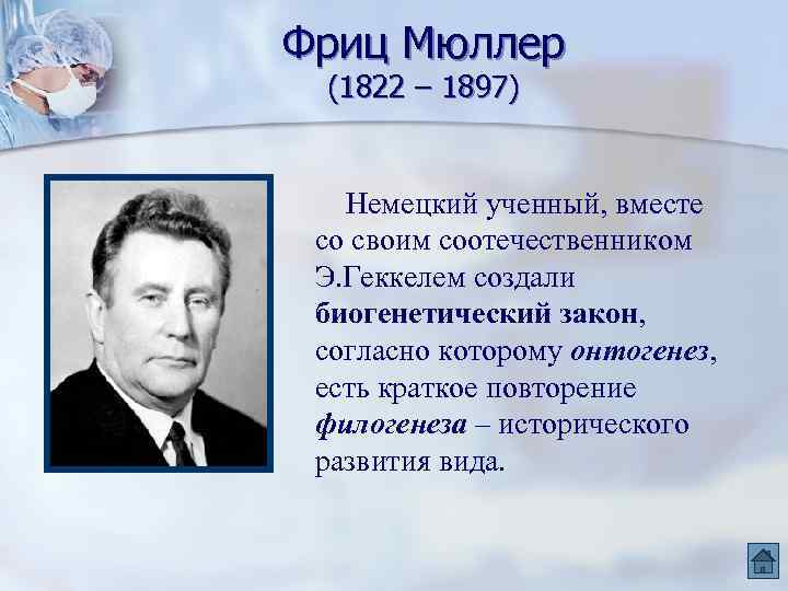 Фриц Мюллер (1822 – 1897) Немецкий ученный, вместе со своим соотечественником Э. Геккелем создали