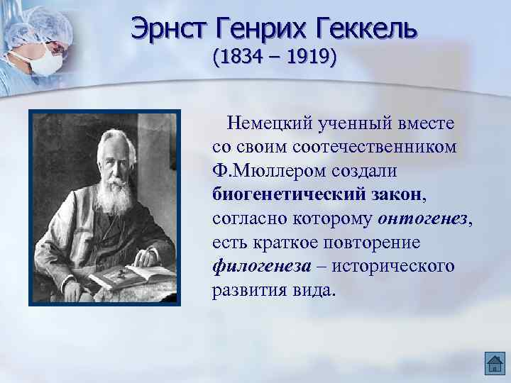 Эрнст Генрих Геккель (1834 – 1919) Немецкий ученный вместе со своим соотечественником Ф. Мюллером