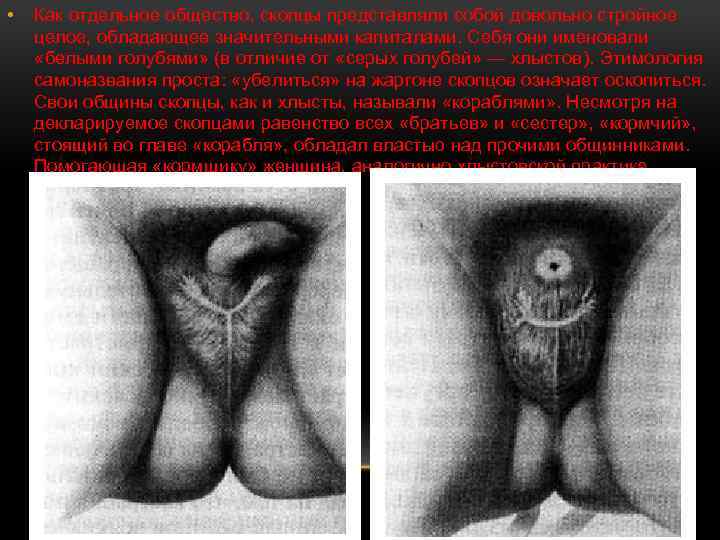  • Как отдельное общество, скопцы представляли собой довольно стройное целое, обладающее значительными капиталами.