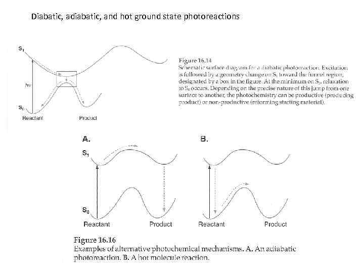  Diabatic, adiabatic, and hot ground state photoreactions 