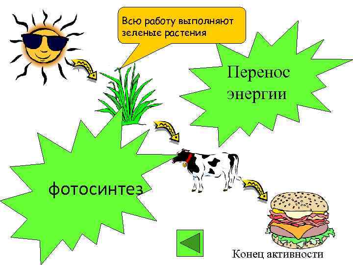 Всю работу выполняют зеленые растения Перенос энергии фотосинтез Конец активности 