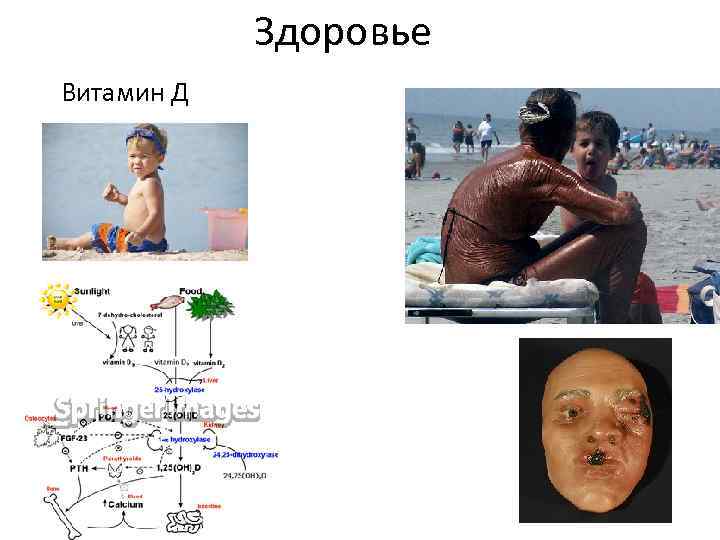 Здоровье Витамин Д 