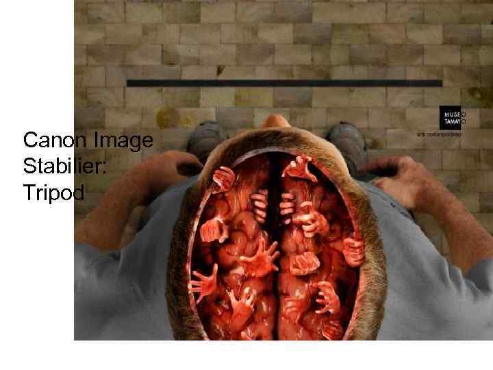 Canon Image Stabilier: Tripod 
