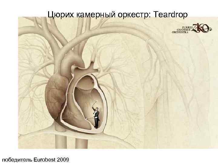 Цюрих камерный оркестр: Teardrop победитель Eurobest 2009 
