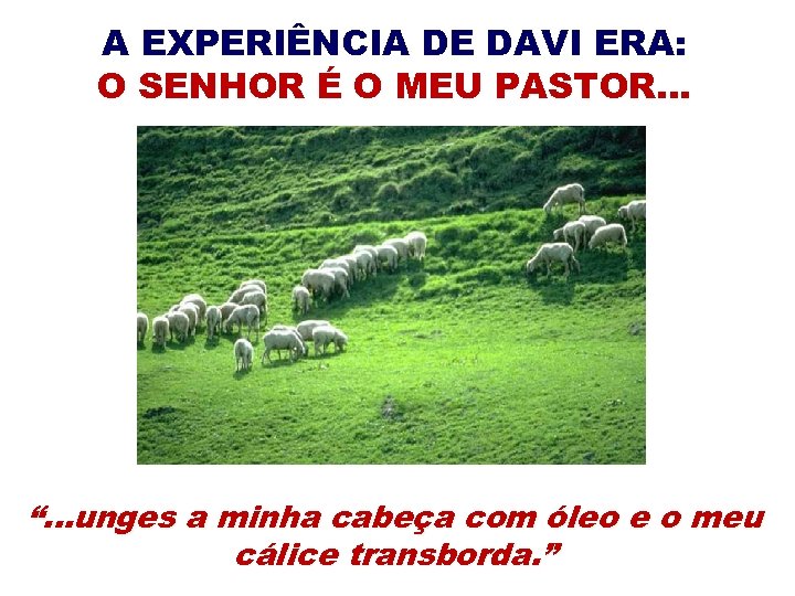 A EXPERIÊNCIA DE DAVI ERA: O SENHOR É O MEU PASTOR. . . “.