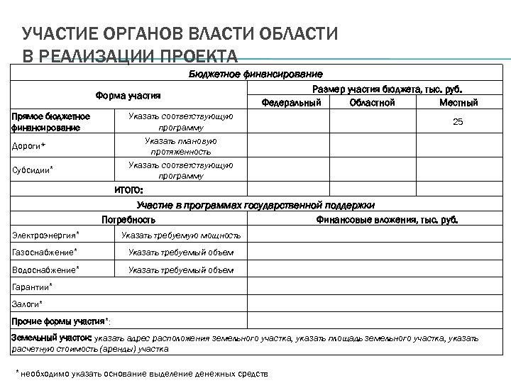 УЧАСТИЕ ОРГАНОВ ВЛАСТИ ОБЛАСТИ В РЕАЛИЗАЦИИ ПРОЕКТА Бюджетное финансирование Форма участия Прямое бюджетное финансирование