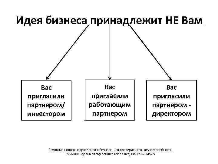 Идея бизнеса принадлежит HЕ Вам Вас пригласили партнером/ инвестором Вас пригласили работающим партнером Вас