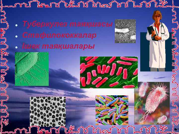 ● ● ● Туберкулез таяқшасы Стафилококкалар Ішек таяқшалары 