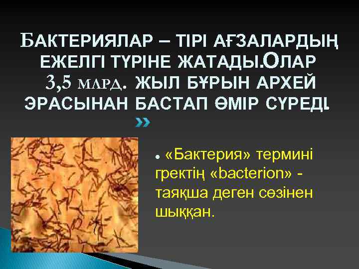 БАКТЕРИЯЛАР – ТІРІ АҒЗАЛАРДЫҢ ЕЖЕЛГІ ТҮРІНЕ ЖАТАДЫ. ОЛАР 3, 5 МЛРД. ЖЫЛ БҰРЫН АРХЕЙ