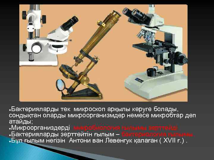 Бактерияларды тек микроскоп арқылы көруге болады, сондықтан оларды микроорганизмдер немесе микробтар деп атайды; ●Микроорганиздерді