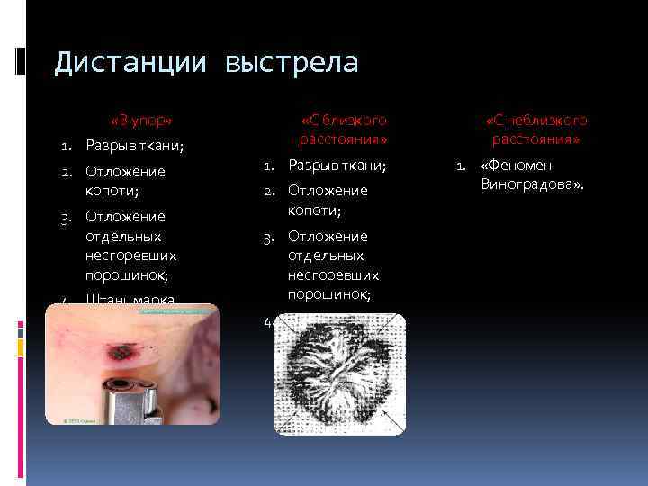 Дистанции выстрела «В упор» 1. Разрыв ткани; 2. Отложение копоти; 3. Отложение отдельных несгоревших