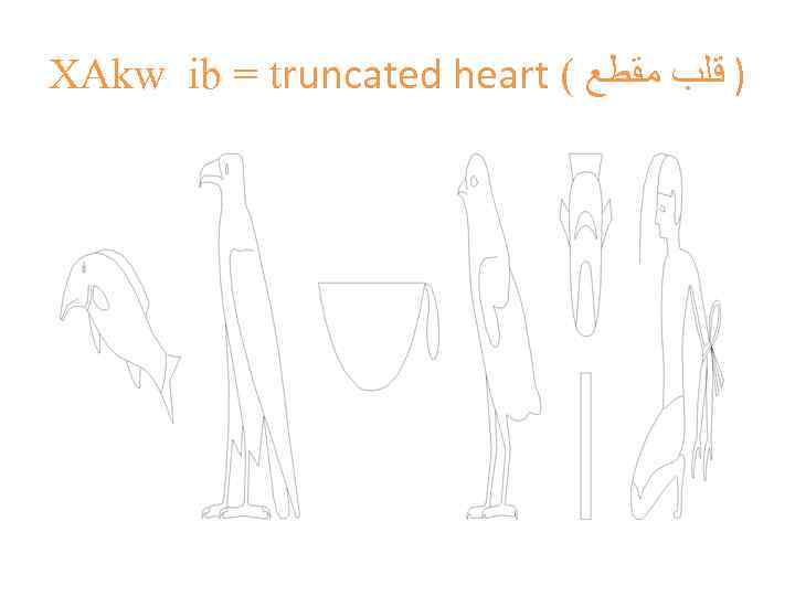 XAkw ib = truncated heart ( ) ﻗﻠﺐ ﻣﻘﻄﻊ 
