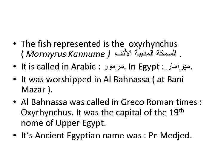  • The fish represented is the oxyrhynchus ( Mormyrus Kannume ) . ﺍﻟﺴﻤﻜﺔ