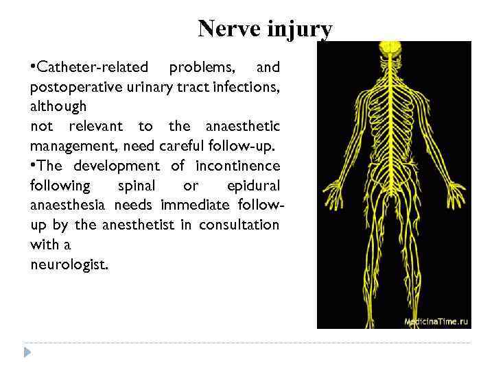 Nerve injury • Catheter-related problems, and postoperative urinary tract infections, although not relevant to