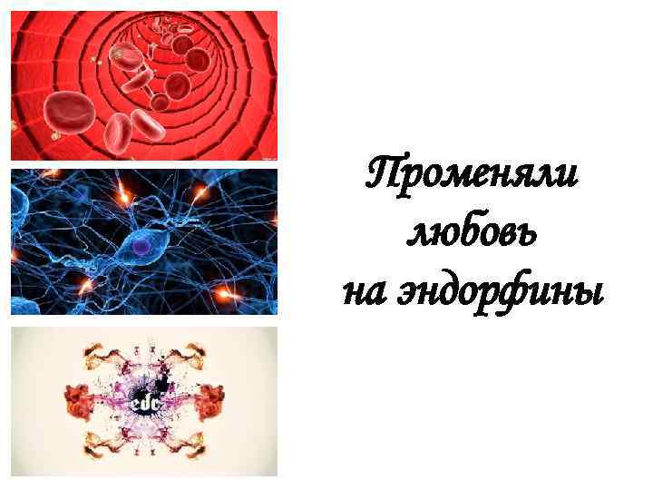 Променяли любовь на эндорфины 