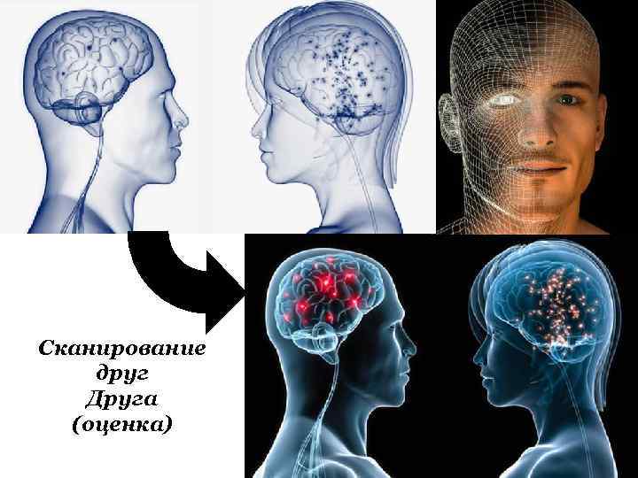 Сканирование друг Друга (оценка) 