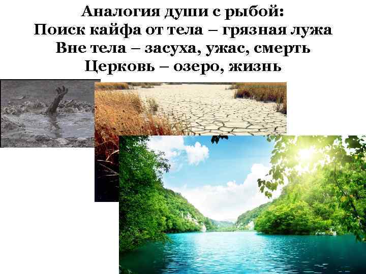 Аналогия души с рыбой: Поиск кайфа от тела – грязная лужа Вне тела –