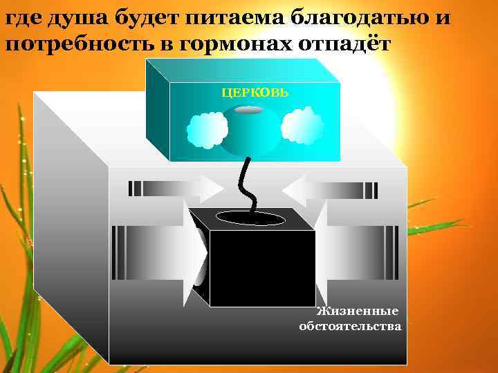 где душа будет питаема благодатью и потребность в гормонах отпадёт ЦЕРКОВЬ Жизненные обстоятельства 