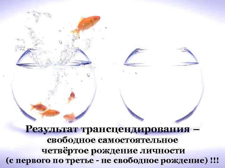 Результат трансцендирования – свободное самостоятельное четвёртое рождение личности (с первого по третье - не