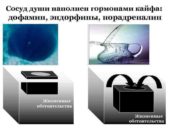 Сосуд души наполнен гормонами кайфа: дофамин, эндорфины, норадреналин Жизненные обстоятельства 