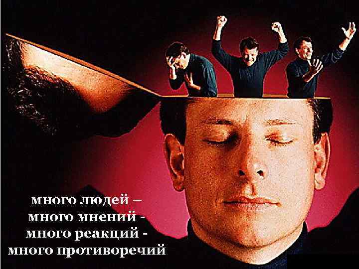 много людей – много мнений много реакций много противоречий 