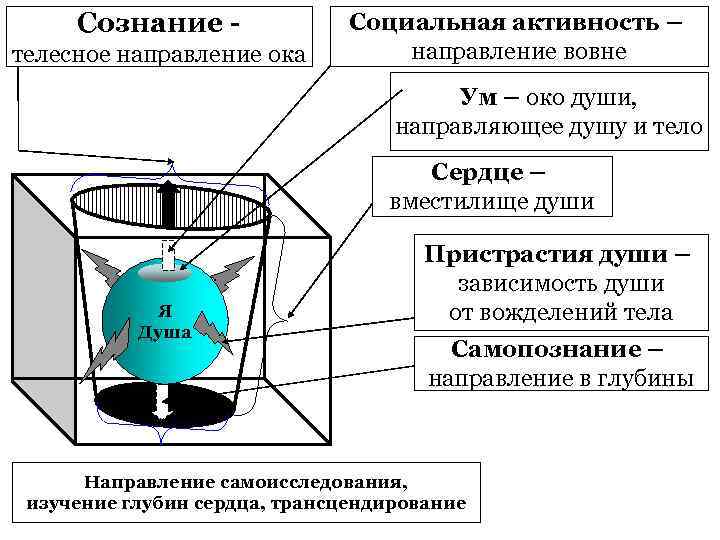 Сознание телесное направление ока Социальная активность – направление вовне Ум – око души, направляющее
