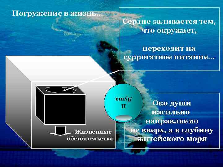 Погружение в жизнь… Сердце заливается тем, что окружает, переходит на суррогатное питание… Я Душа