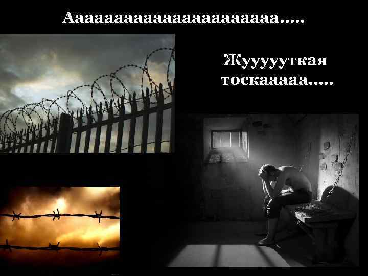 Аааааааааааа…. . Жуууууткая тоскааааа…. . 