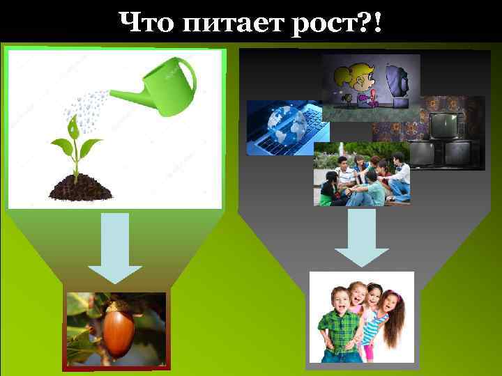 Что питает рост? ! 