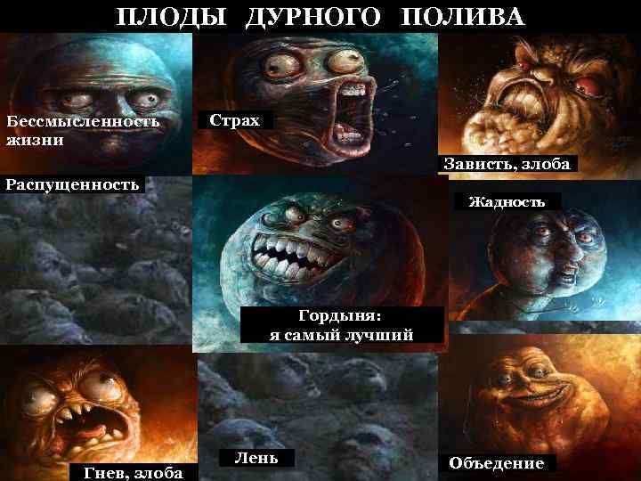 ПЛОДЫ ДУРНОГО ПОЛИВА Бессмысленность жизни Страх Зависть, злоба Распущенность Жадность Гордыня: я самый лучший