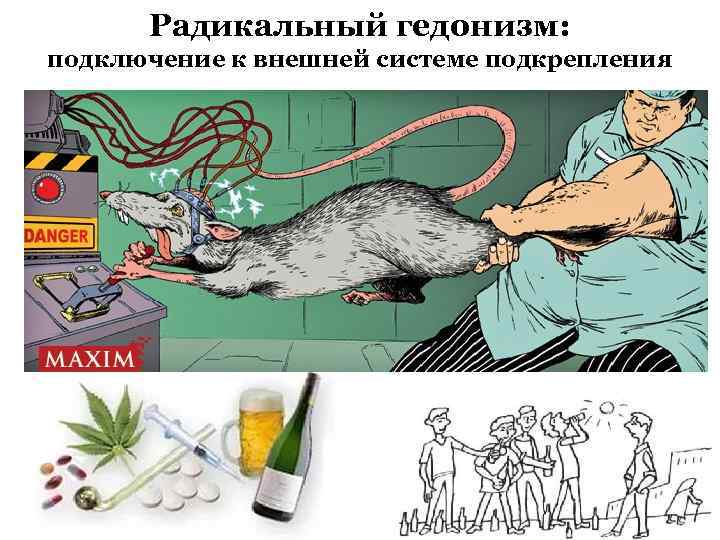 Радикальный гедонизм: подключение к внешней системе подкрепления 