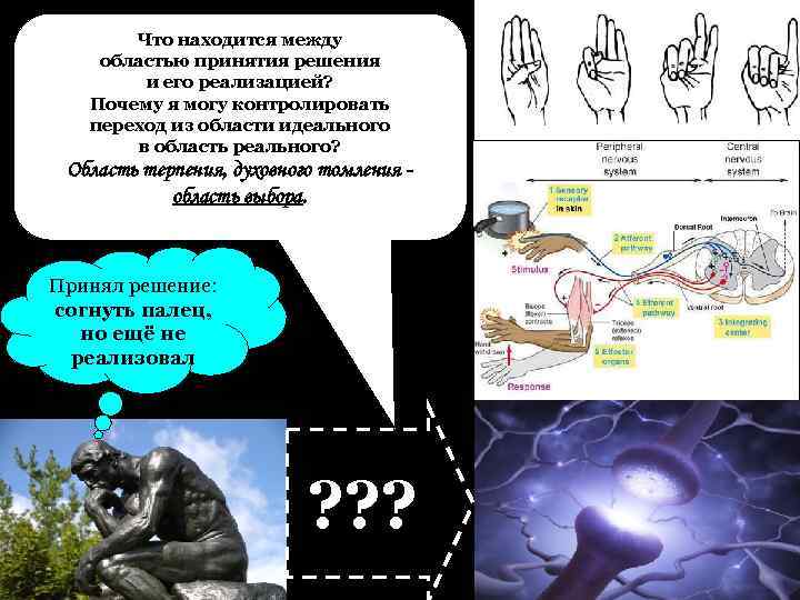 Что находится между областью принятия решения и его реализацией? Почему я могу контролировать переход