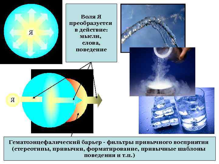 Я Воля Я преобразуется в действие: мысли, слова, поведение Я Гематоэнцефалический барьер - фильтры