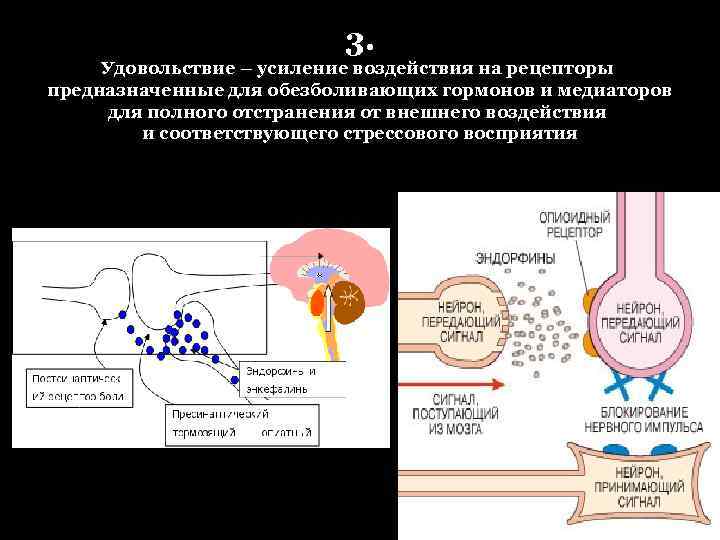 3. Удовольствие – усиление воздействия на рецепторы предназначенные для обезболивающих гормонов и медиаторов для