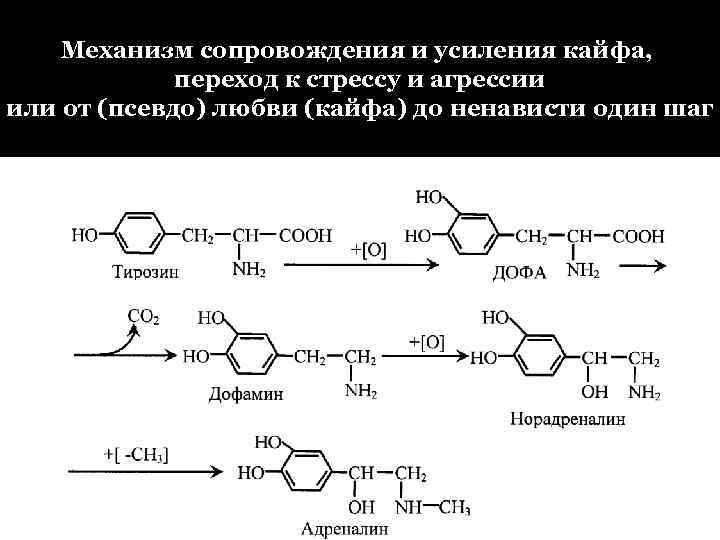 Механизм сопровождения и усиления кайфа, переход к стрессу и агрессии или от (псевдо) любви