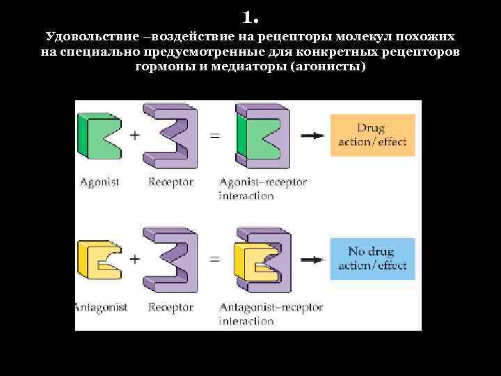 1. Удовольствие –воздействие на рецепторы молекул похожих на специально предусмотренные для конкретных рецепторов гормоны