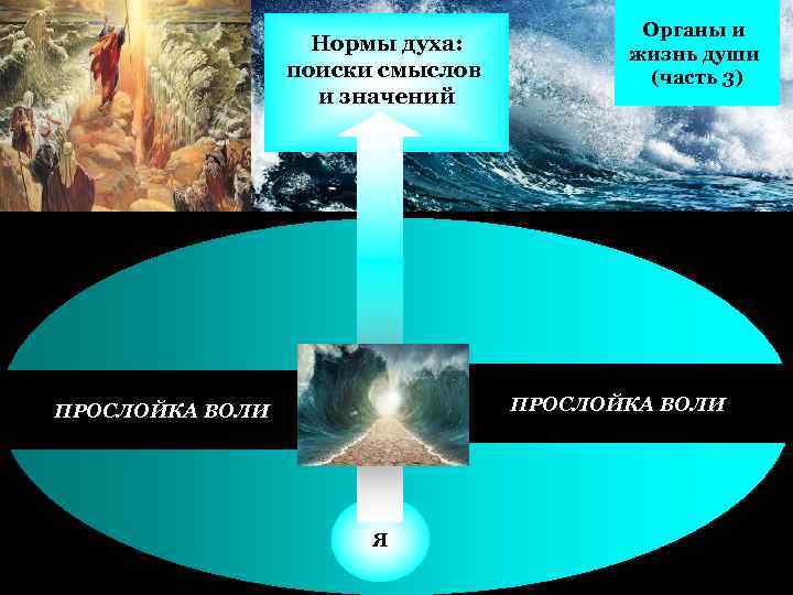 Нормы духа: поиски смыслов и значений Органы и жизнь души (часть 3) ПРОСЛОЙКА ВОЛИ