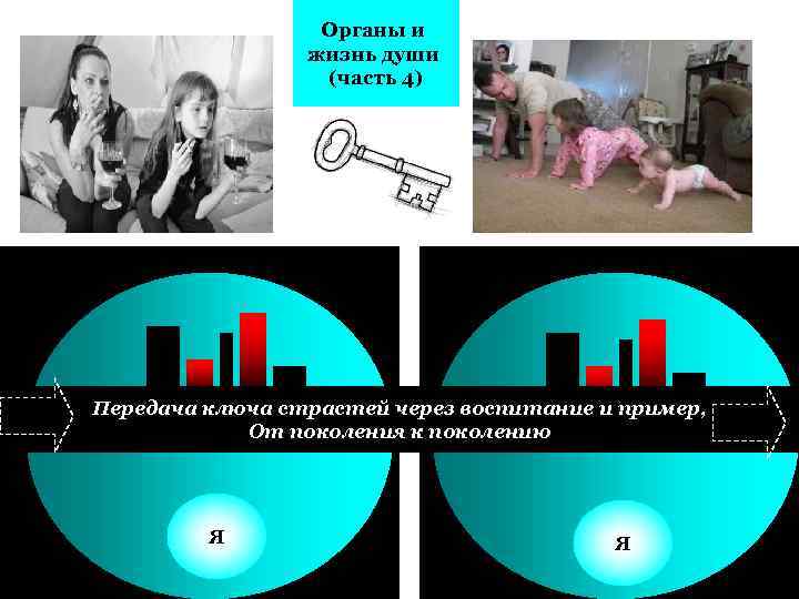 Органы и жизнь души (часть 4) Передача ключа страстей через воспитание и пример, От