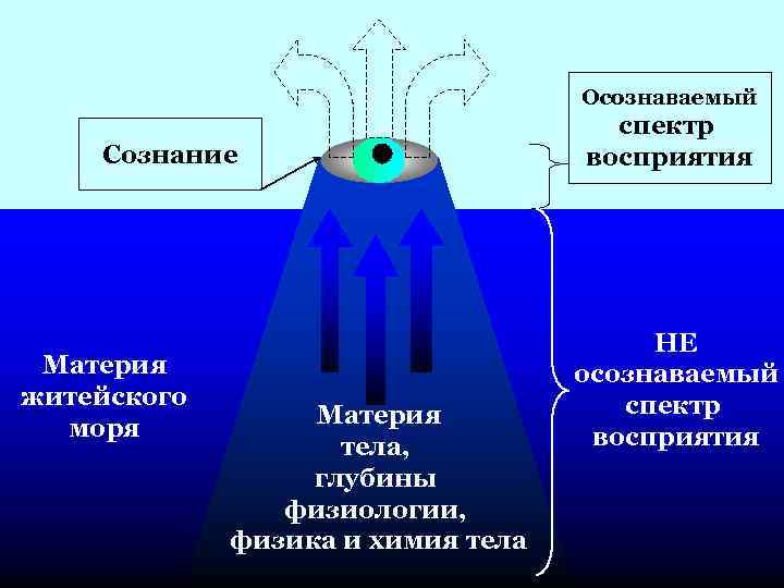 Осознаваемый Сознание Материя житейского моря Материя тела, глубины физиологии, физика и химия тела спектр