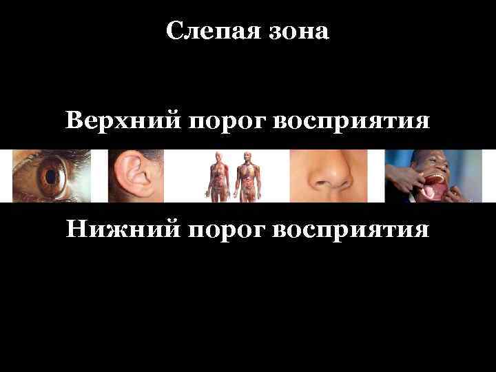 Слепая зона Верхний порог восприятия Нижний порог восприятия 