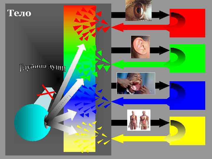 Тело 