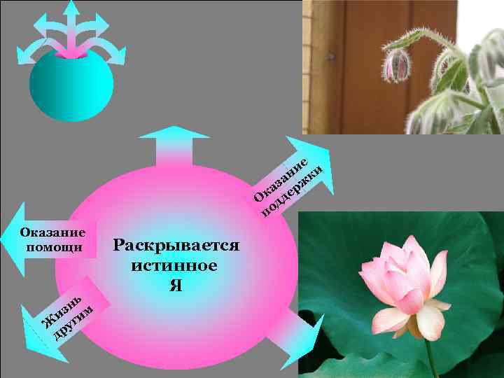 ие и н к за рж ка де О д по Оказание помощи нь