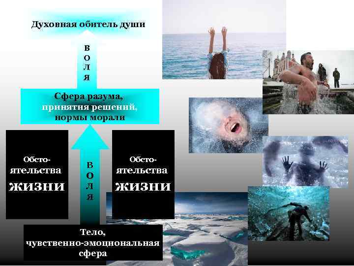 Духовная обитель души В О Л Я Сфера разума, принятия решений, нормы морали Обсто-